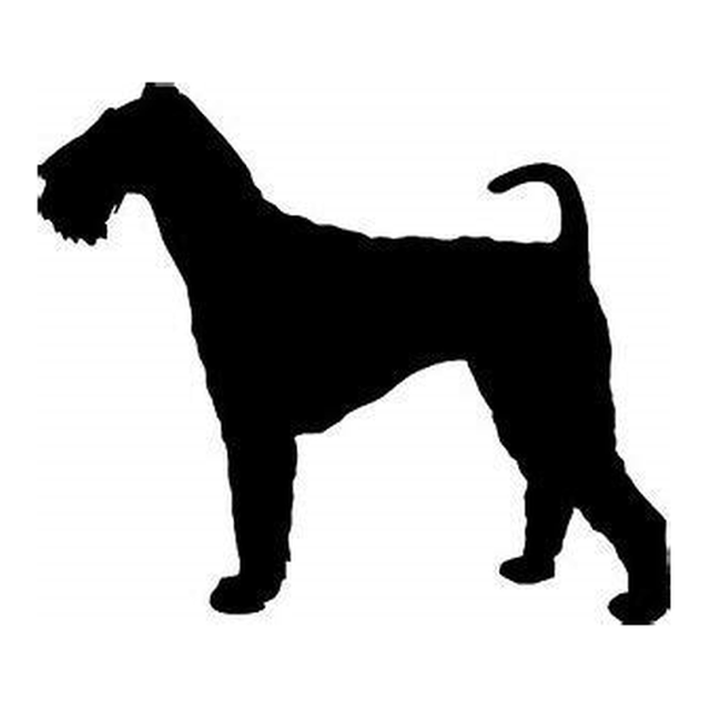 Airedale