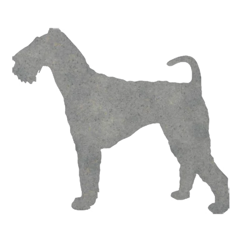 Airedale