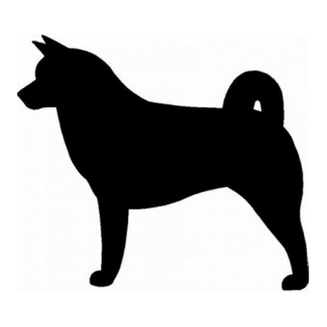 Akita