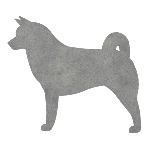 Akita