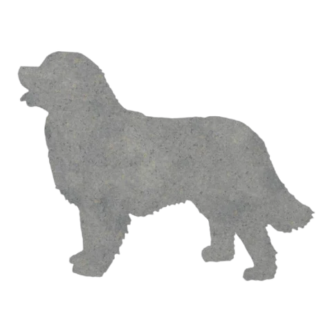 Bernese Mountain Dog (Gentle Watch)