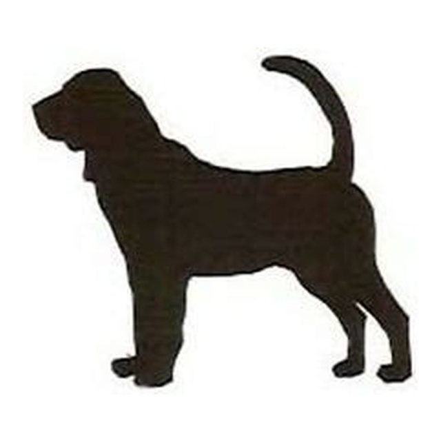 Bloodhound
