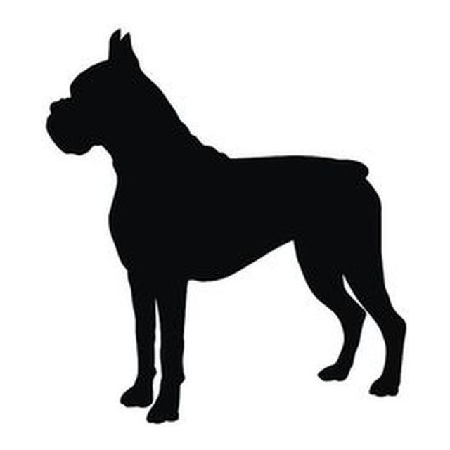 Boxer 1