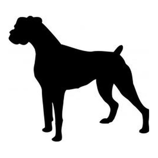 Boxer 2