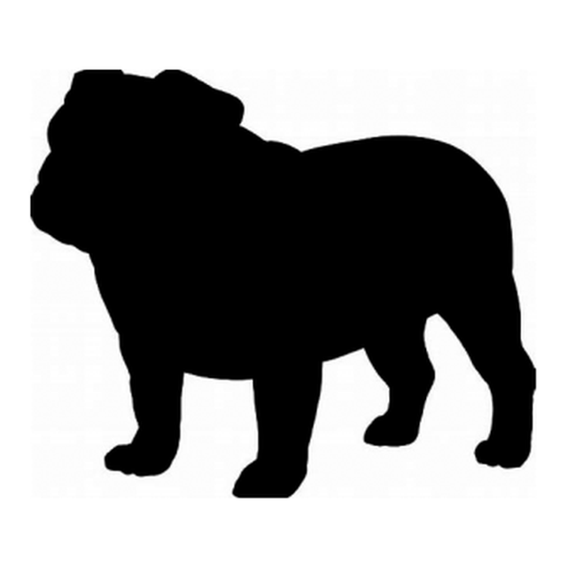 Bulldog 1
