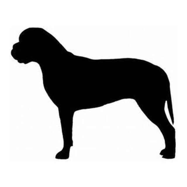 Bullmastiff 2
