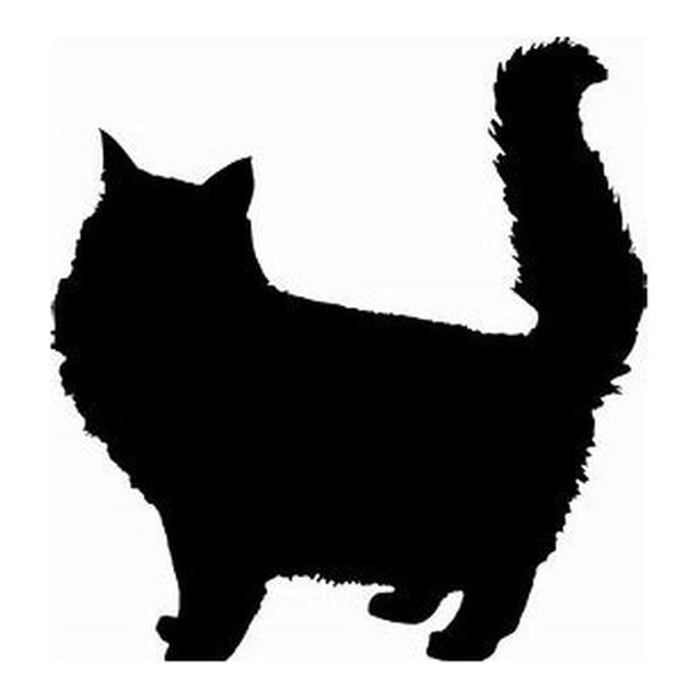 Cat 1