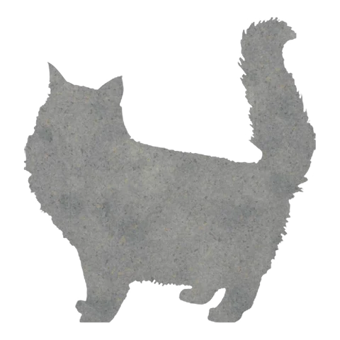 Cat (Tail Held High)