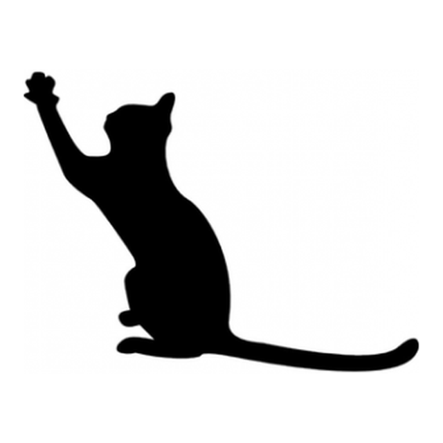 Cat 10
