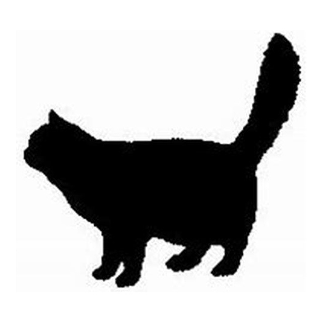 Cat 2