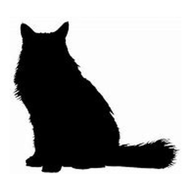 Cat 3
