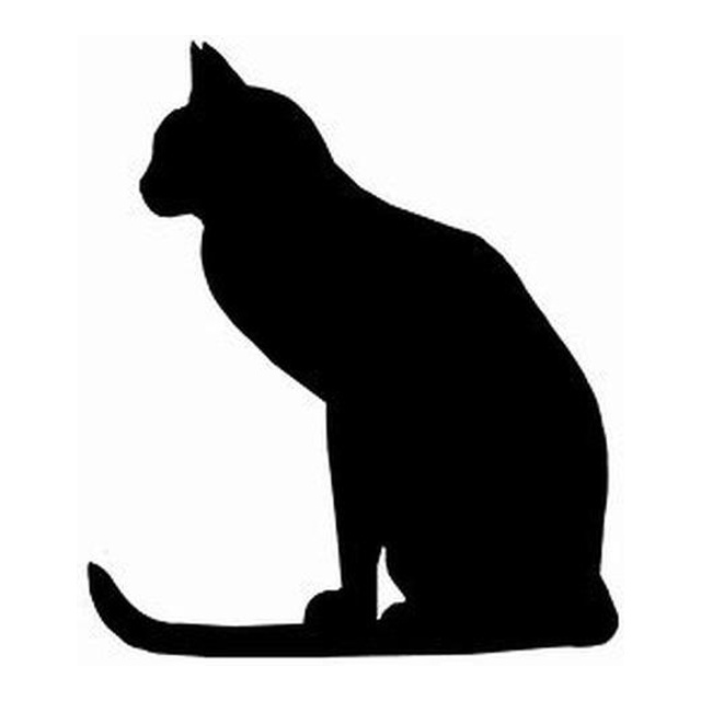 Cat 4