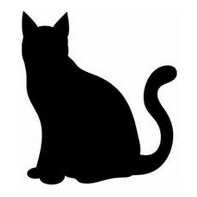 Cat 5
