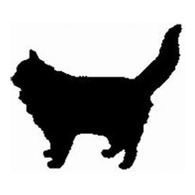 Cat 6