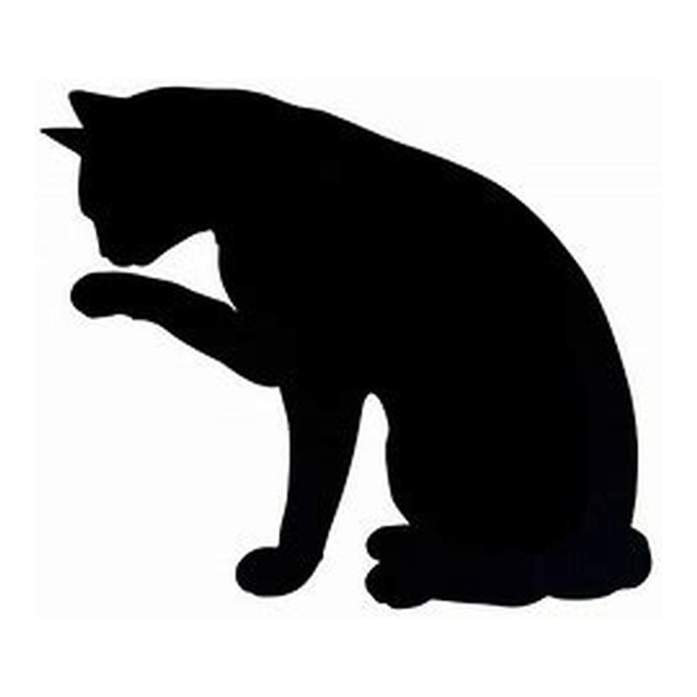 Cat 7