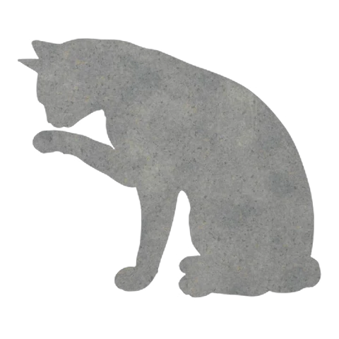 Cat (Grooming Pause)