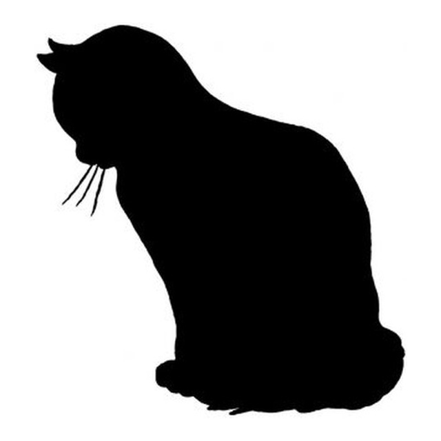 Cat 8