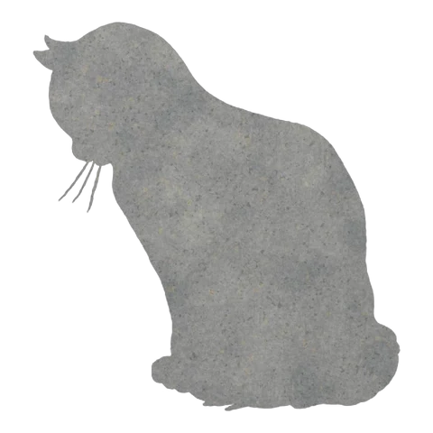 Cat (Curious Glance)