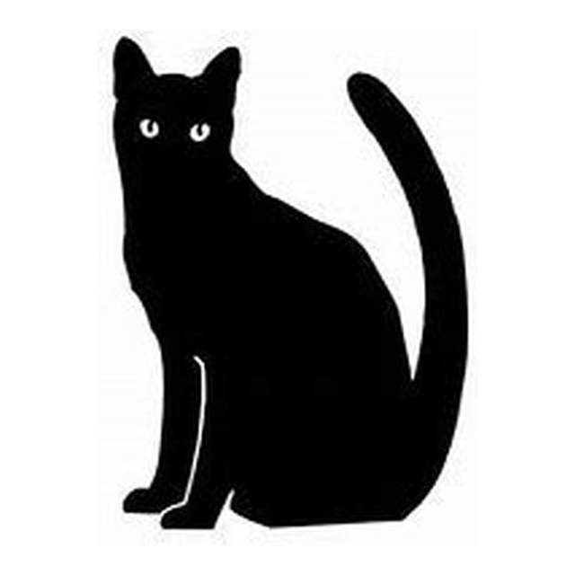 Cat 9