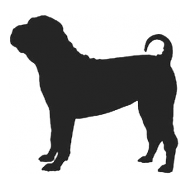 Chinese Shar Pei