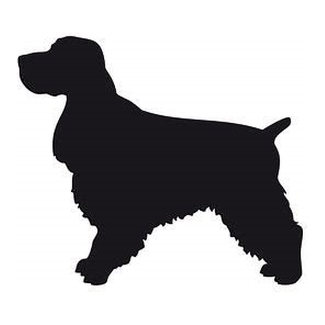 Cocker Spaniel