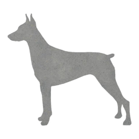 Doberman Pinscher (Alert Stance)