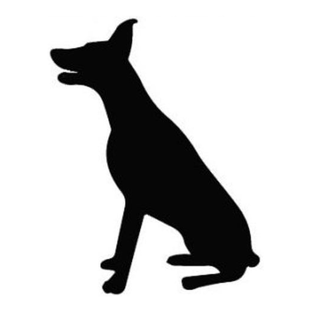 Doberman Pinscher 2
