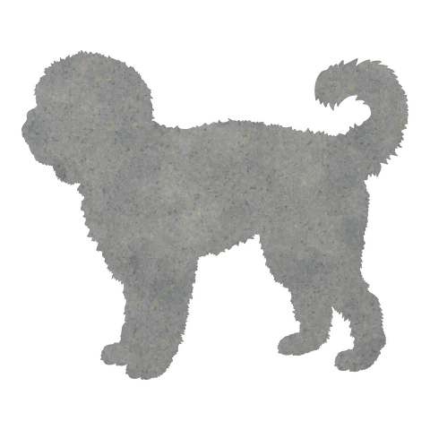 Doodle Cross (Curly Tail)