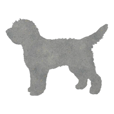 Doodle Cross (Alert Stance)