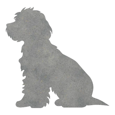 Doodle Cross (Shaggy Sit)