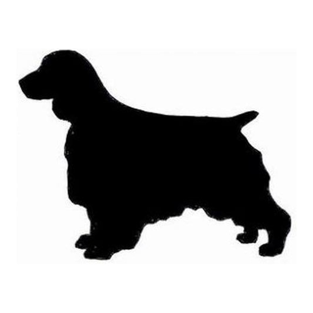 English Springer Spaniel 2