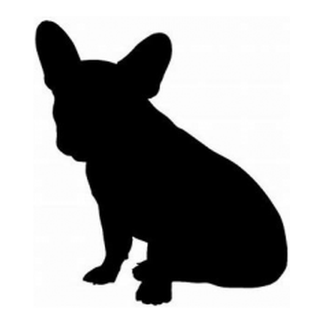 French Bulldog 2