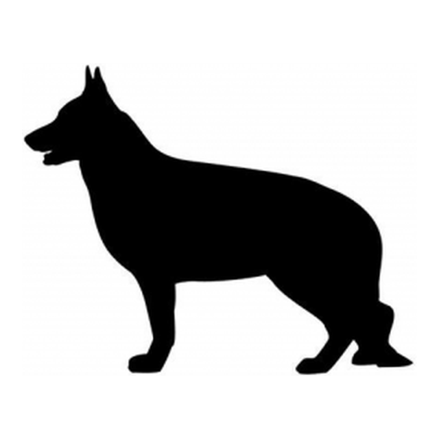 German Shepherd 1