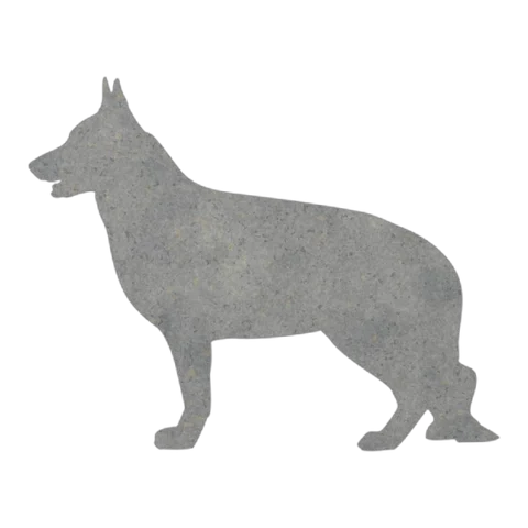 German Shepherd (Alert Stance)