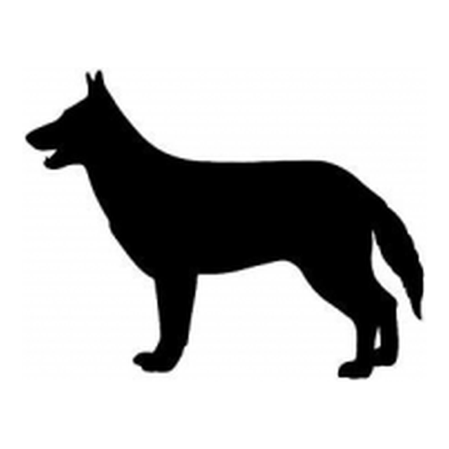 German Shepherd 2