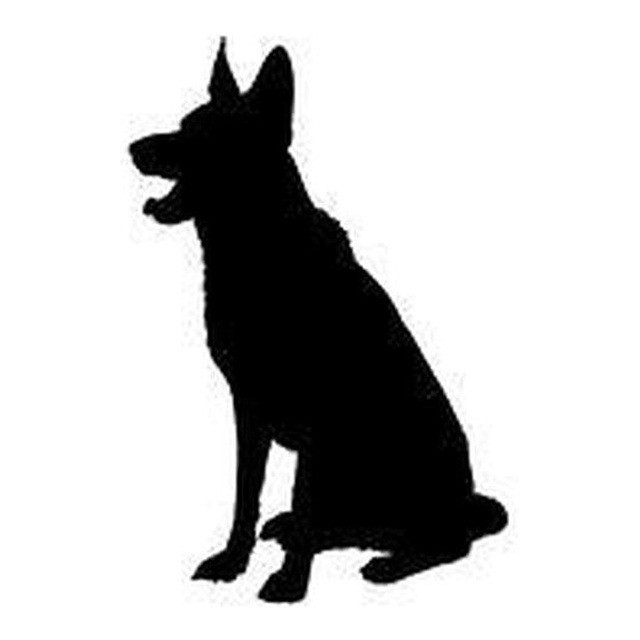 German Shepherd 3