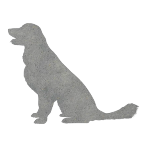 Golden Retriever (Gentle Sit)