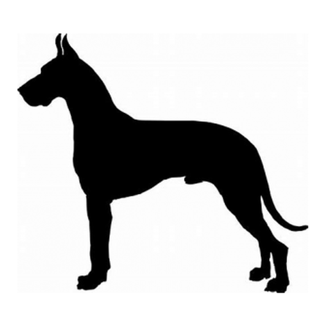 Great Dane 1