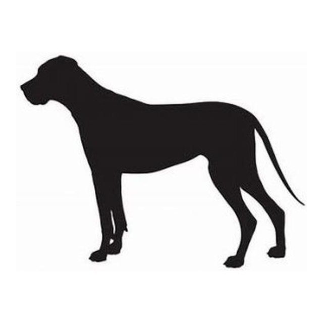 Great Dane 2
