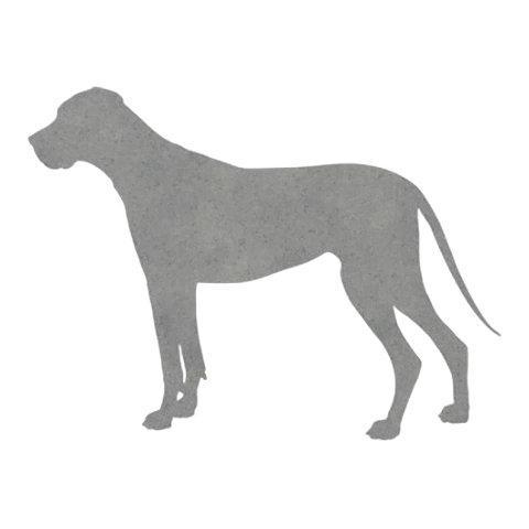 Great Dane (Gentle Stance)