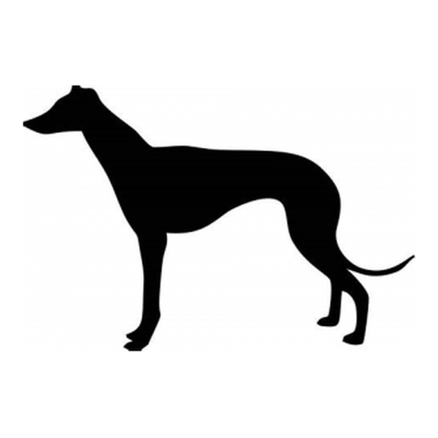 Greyhound 1