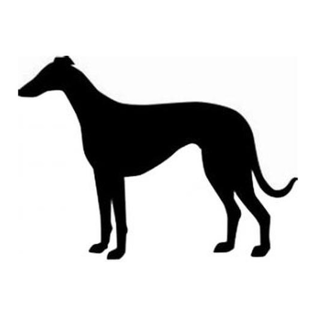 Greyhound 2