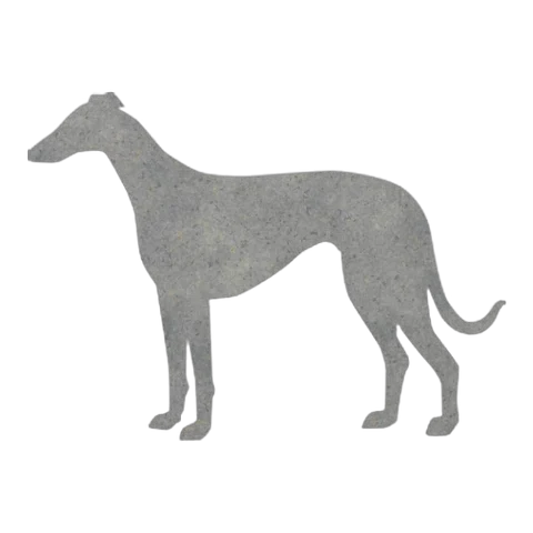 Greyhound (Alert Stance)