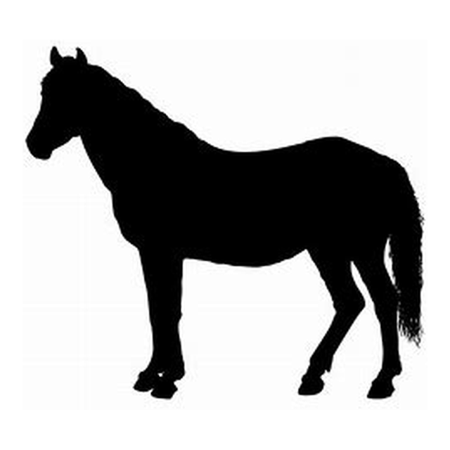 Horse 1