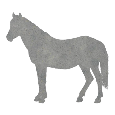 Horse (Gentle Walk)