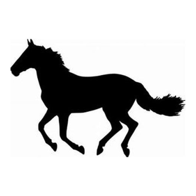 Horse 2