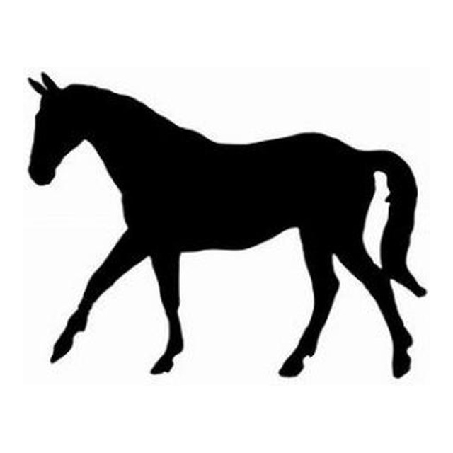 Horse 3