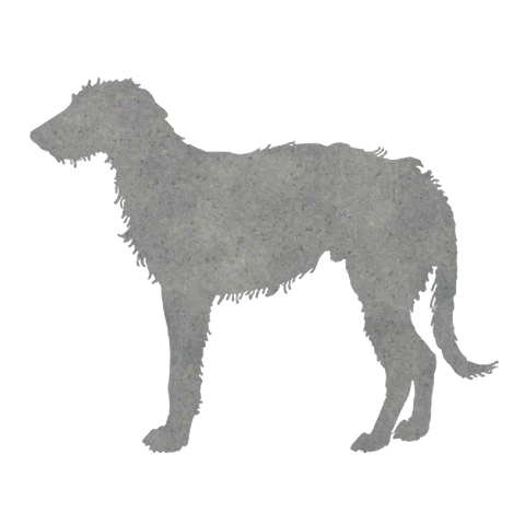 Irish Wolfhound (Stoic Stance)