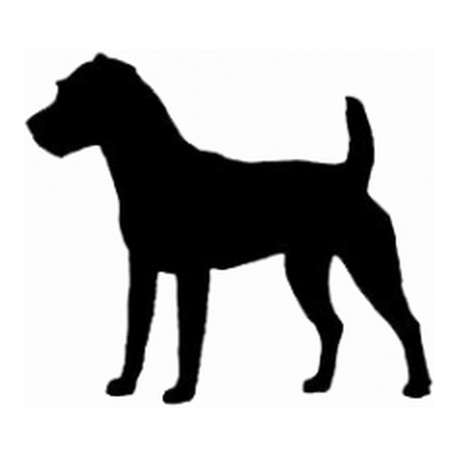 Jack Russell