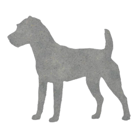 Jack Russell